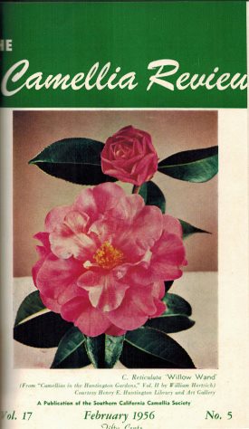 cr/Vol 17/CR-0256
